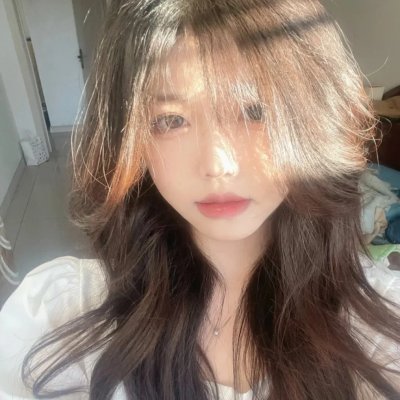 春燕展翅